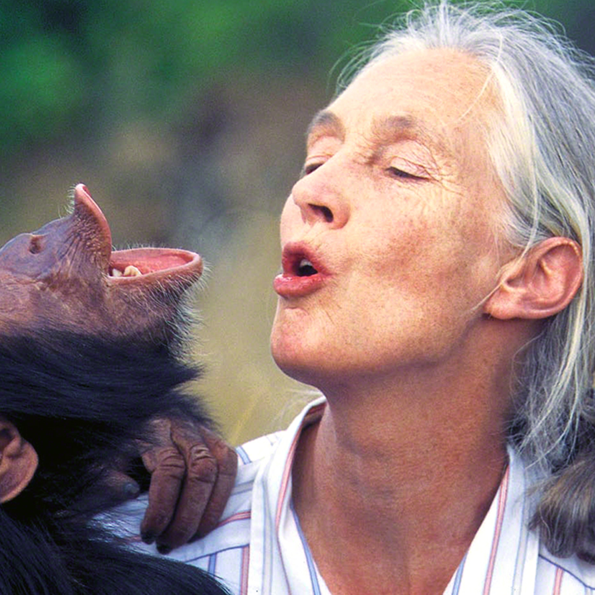Jane Goodall: Život za čimpanze