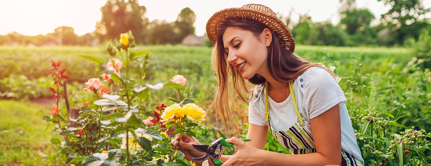 Vrtlarenje bez plastike: 5 trikova za vaš zeleni raj