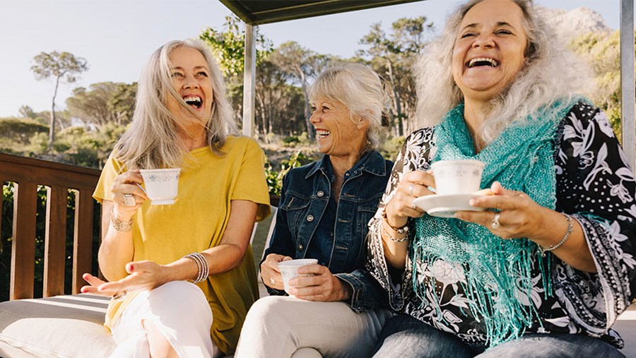 Frauen, mit ersten Anzeichen der Wechseljahre, trinken zusammen Tee.