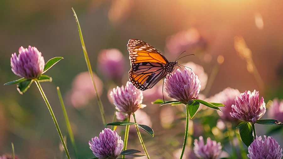active beauty – časopis za zdravlje i ljepotu